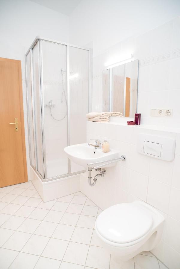 Stilvolle 1-Raum-Wohnung Zentral, Ruhig Gelegen Dresden Buitenkant foto